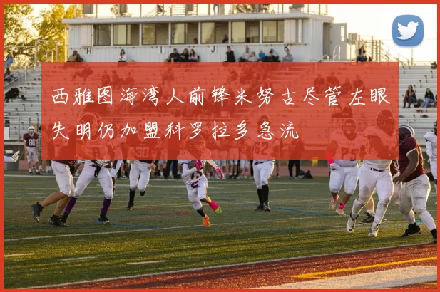 西雅图海湾人前锋米努古尽管左眼失明仍加盟科罗拉多急流